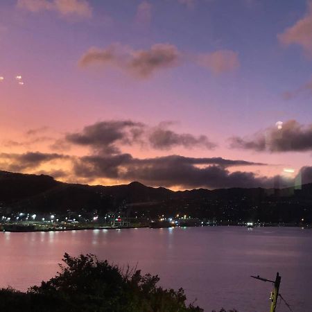 Incredible Views! Luxurious Studio & Outdoor Living Wellington Exteriör bild