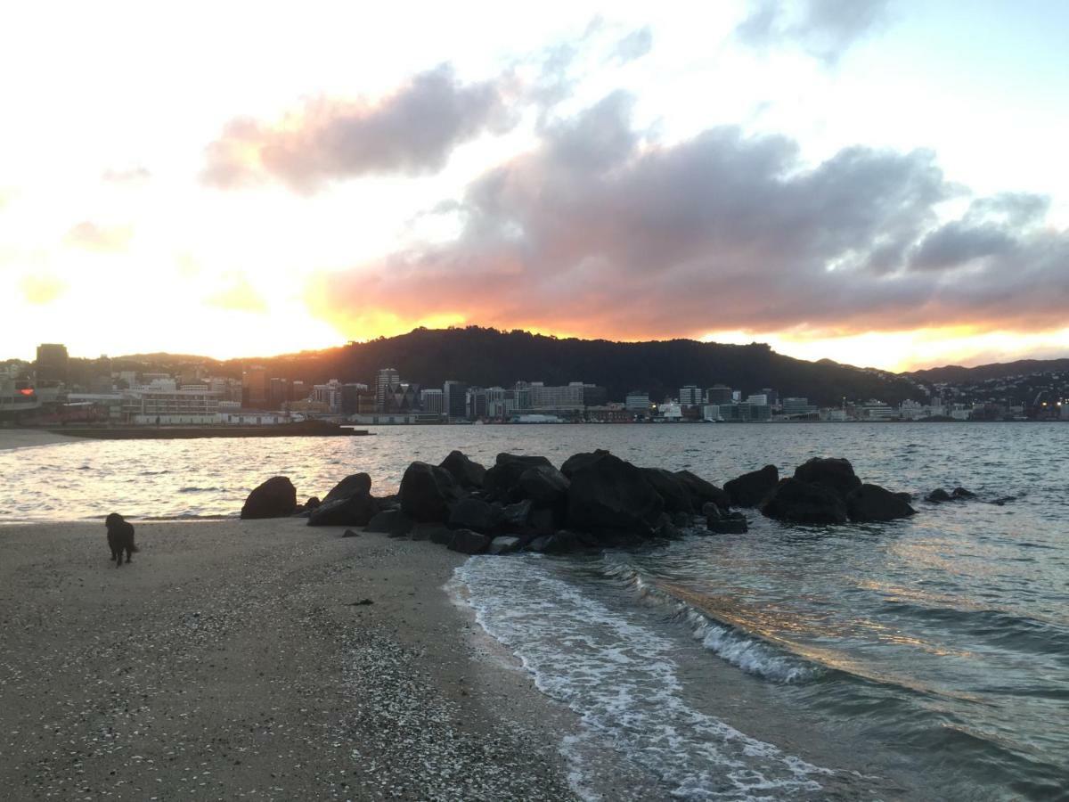 Incredible Views! Luxurious Studio & Outdoor Living Wellington Exteriör bild